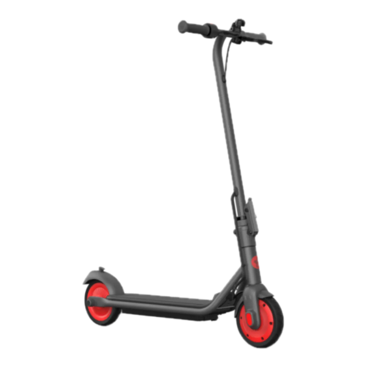 Segway Ninebot Zing C20